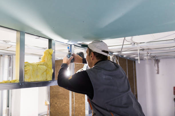 Best Insulation Installation Cost  in Savanna, IL
